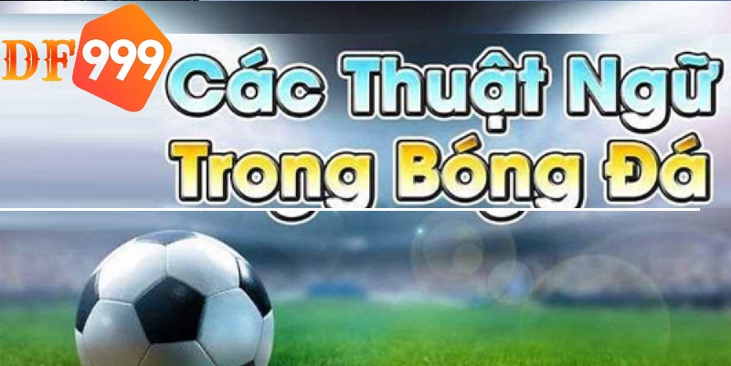 Chú ý đến các thuật ngữ trong bóng đá cơ bản 